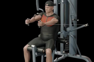 create 3d gym animation, fitness character, and workout video