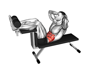 create anatomical muscle illustrations for fitness apps and content