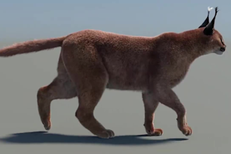 do realistic 3d animal modeling, 3d animal animation, vfx, 3d creature modeling