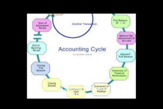 be your professional financial auditor and accounting expert