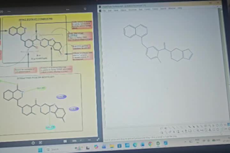 draw accurate structures and if you do not like then no need to give charges