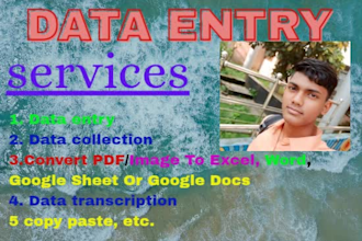 your professional data entry operator