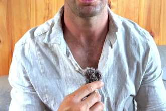 be your aussie male ugc video spokesperson for video ads