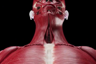 do 3d cgi medical animation for surgery, anatomy, forensic, visualization