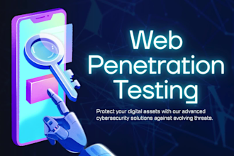 perform professional web application penetration testing and security analysis