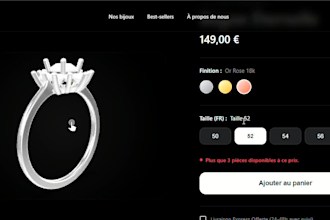 build high end and SEO optimised website