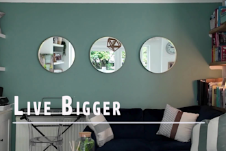 create motion graphics, social media ads