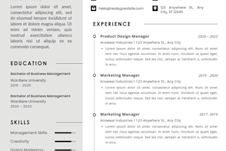 write a professional cv resume in french english spanish or arabic on word and c