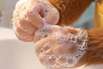 create ai nursery rhyme videos, cartoon animation, images and promo ads