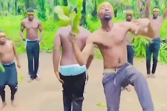 do happy birthday video or happy birthday video