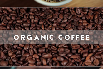 create engaging instagram post