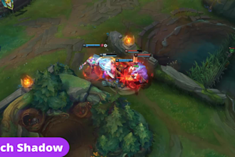 professionally coach you in league of legends