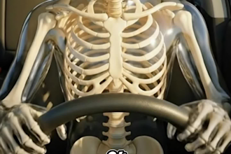 create dr data style ai skeleton animation short video