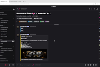 create a professional discord server with a custom bot
