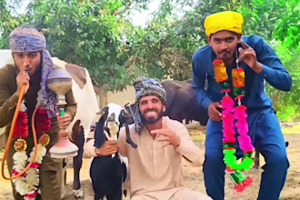 african happy birthday video african happy birthday video
