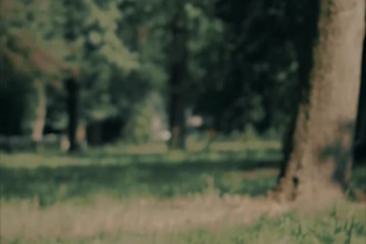 edit cinematic reels for you