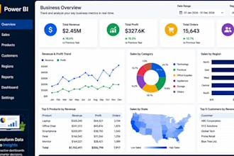 create professional power bi dashboards and visualizations