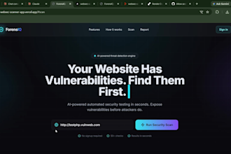 do web application penetration testing and security audit