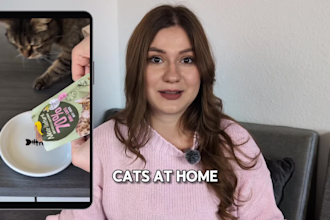 create strategic german ugc video ads for tiktok and instagram