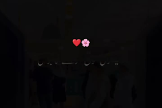 edit aesthetic urdu quotes poetry and islamic reels for shorts