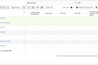 be your meta ads manager for facebook and instagram ads specialist