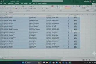 do excel data cleaning , formatting, and advanced related work