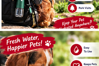 design conversion focused amazon listing images