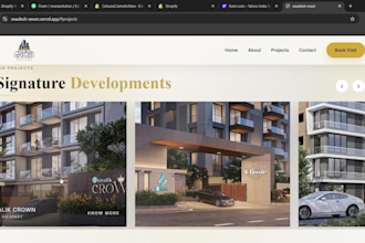 shopify store and wordpress website expert
