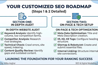 provide a monthly full SEO service for top google ranking
