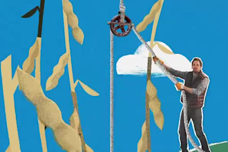 collage explainer video motion graphic explainer video collage animation collage