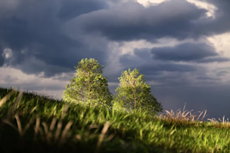 create a cinematic 3d environment in blender