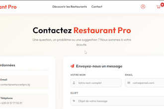 build a professional rest API with django and drf