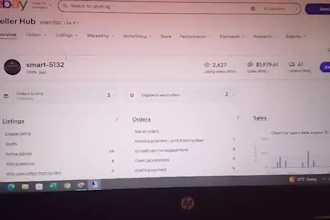 be your expert ebay drop shipping and inventory manager