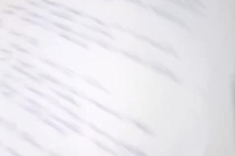 professional handwriting expert services