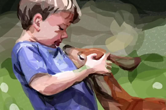 create professional digital illustrations and custom character art