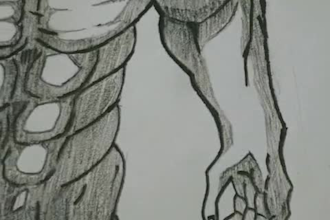 draw a detailed custom anime pencil and pen sketch