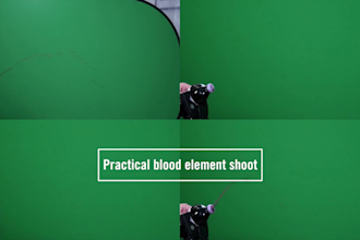 do professional vfx visual effects and compositing in after effect for film