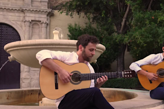 teach you classic, flamenco and any fingerstyle guitar