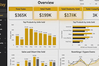 build customized power bi, tableau dashboards, exce google sheets, and excel vba