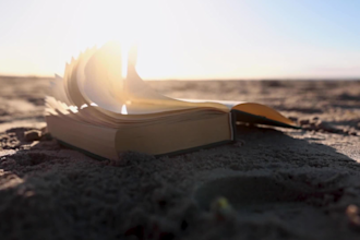 professionally promote your book to boost visibility sales