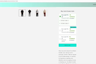 design a professional shopify store