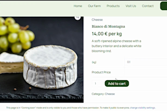 create wordpress websites for restaurants