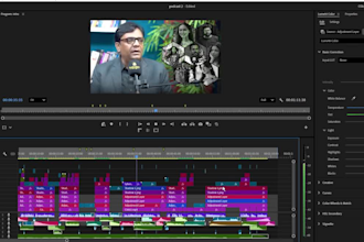 professional documentary video editing services