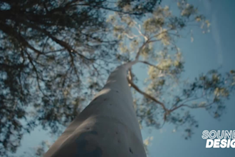 edit your promotional video