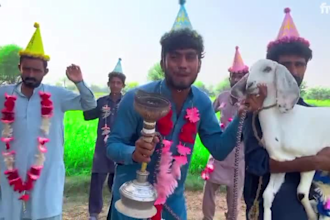 wish funny happy birthday video or happy birthday