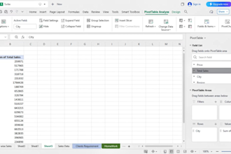 build pivot tables and graphs to summarize large datasets