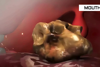 create 3d medical animation drug mechanism video healthcare animation