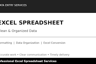 create, format, and arganize excel spreadsheet