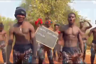 african happy birthday video african happy birthday video