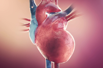 do 3d medical animation cardiac flow therapy 3d moa educational explainer video